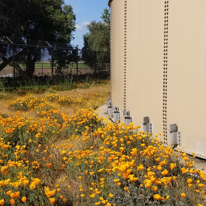 MCSI Water Systems Management